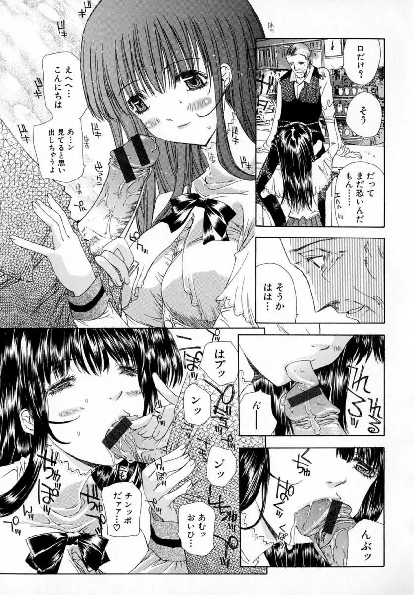 アネモネ～紅花翁草 Page.73