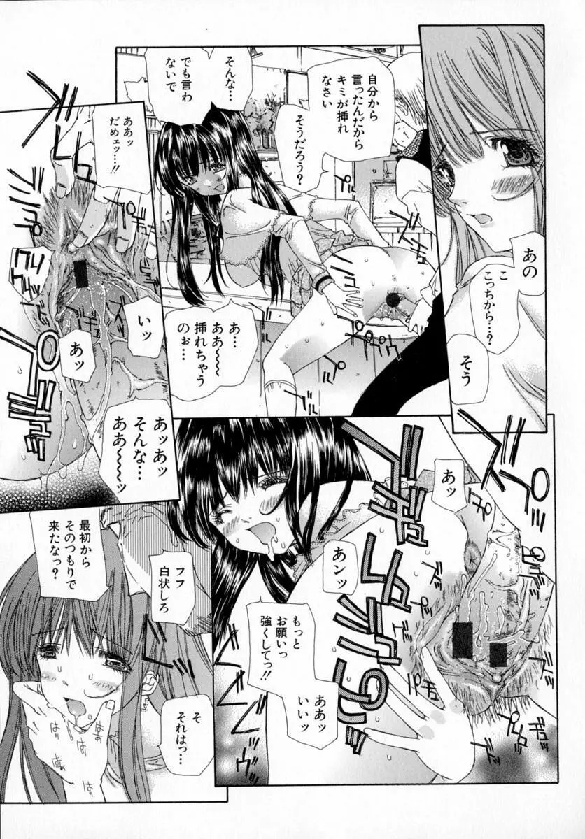 アネモネ～紅花翁草 Page.77