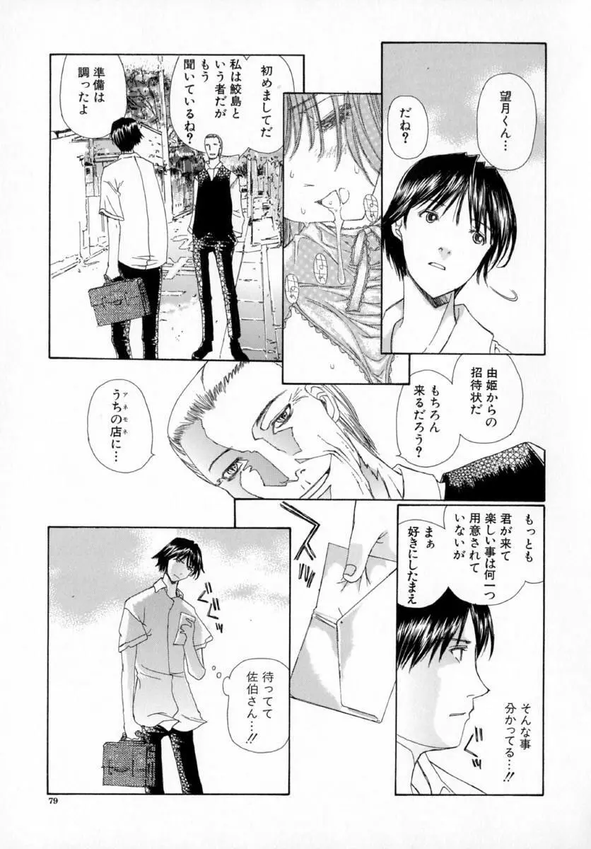 アネモネ～紅花翁草 Page.83