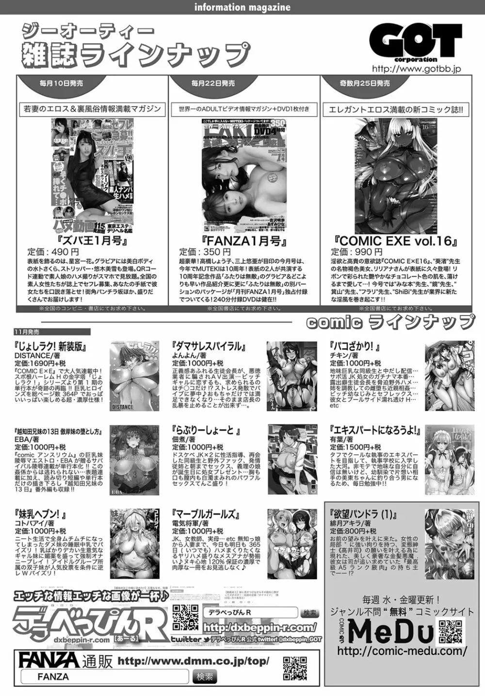 COMIC アンスリウム 2019年1月号 Page.531