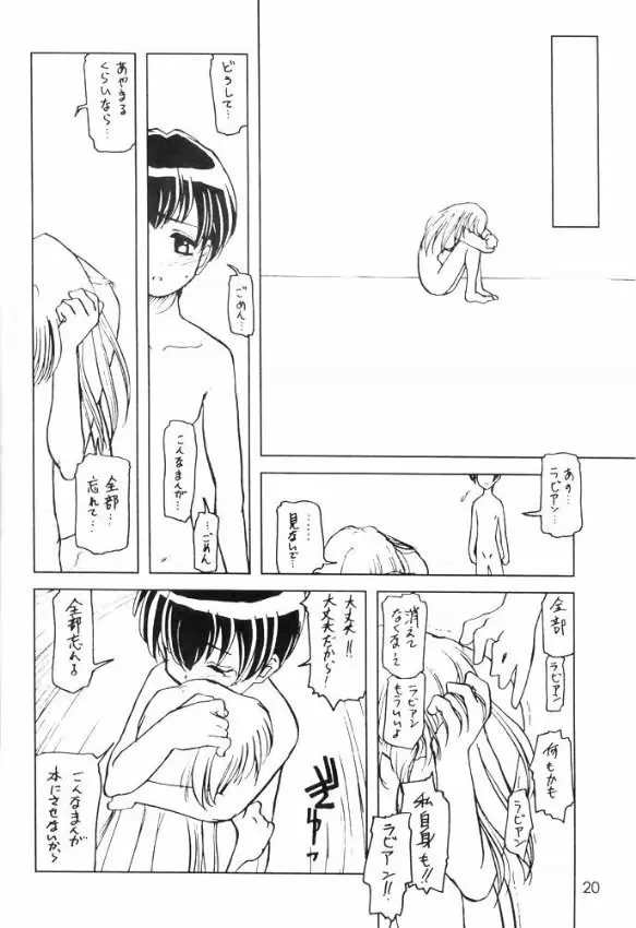 Usa De Megane 2 Page.19