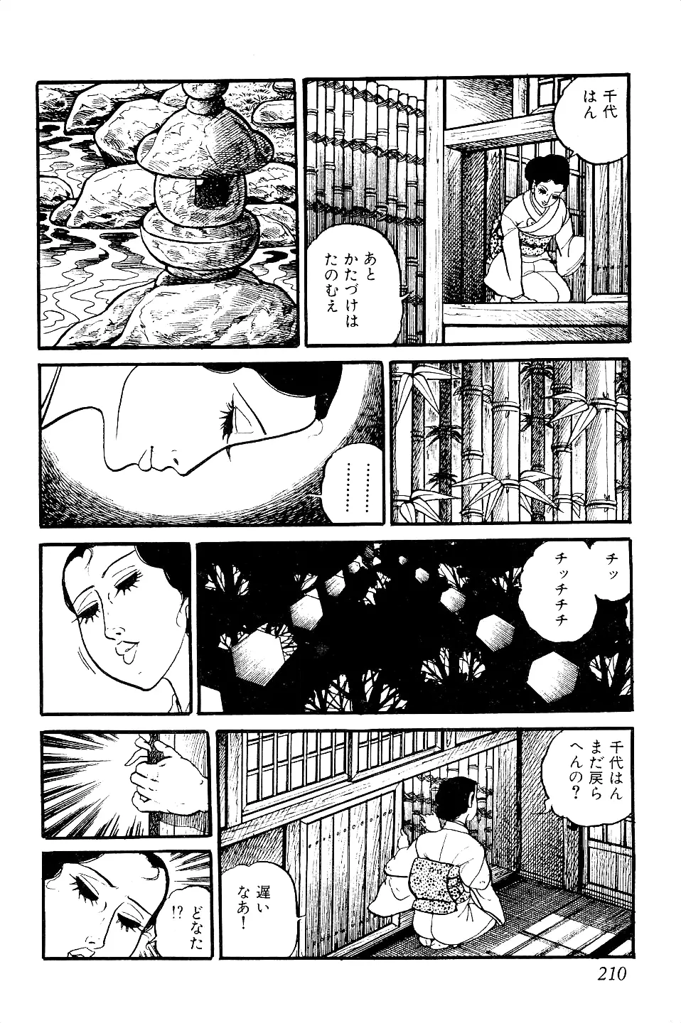 好色 ペット先生 Page.211