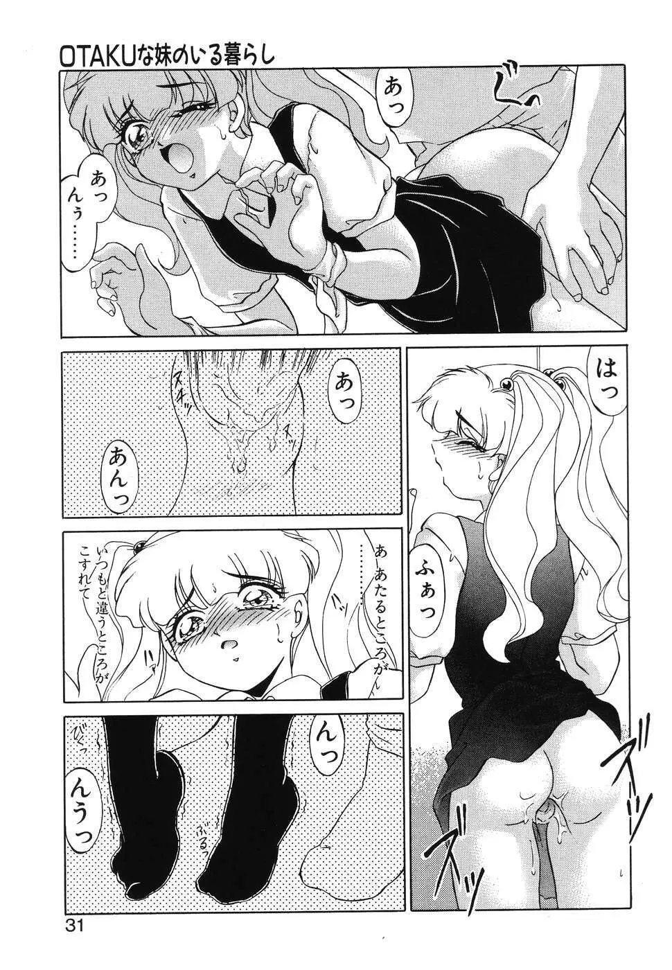 OTAKUな妹のいる暮らし Page.29