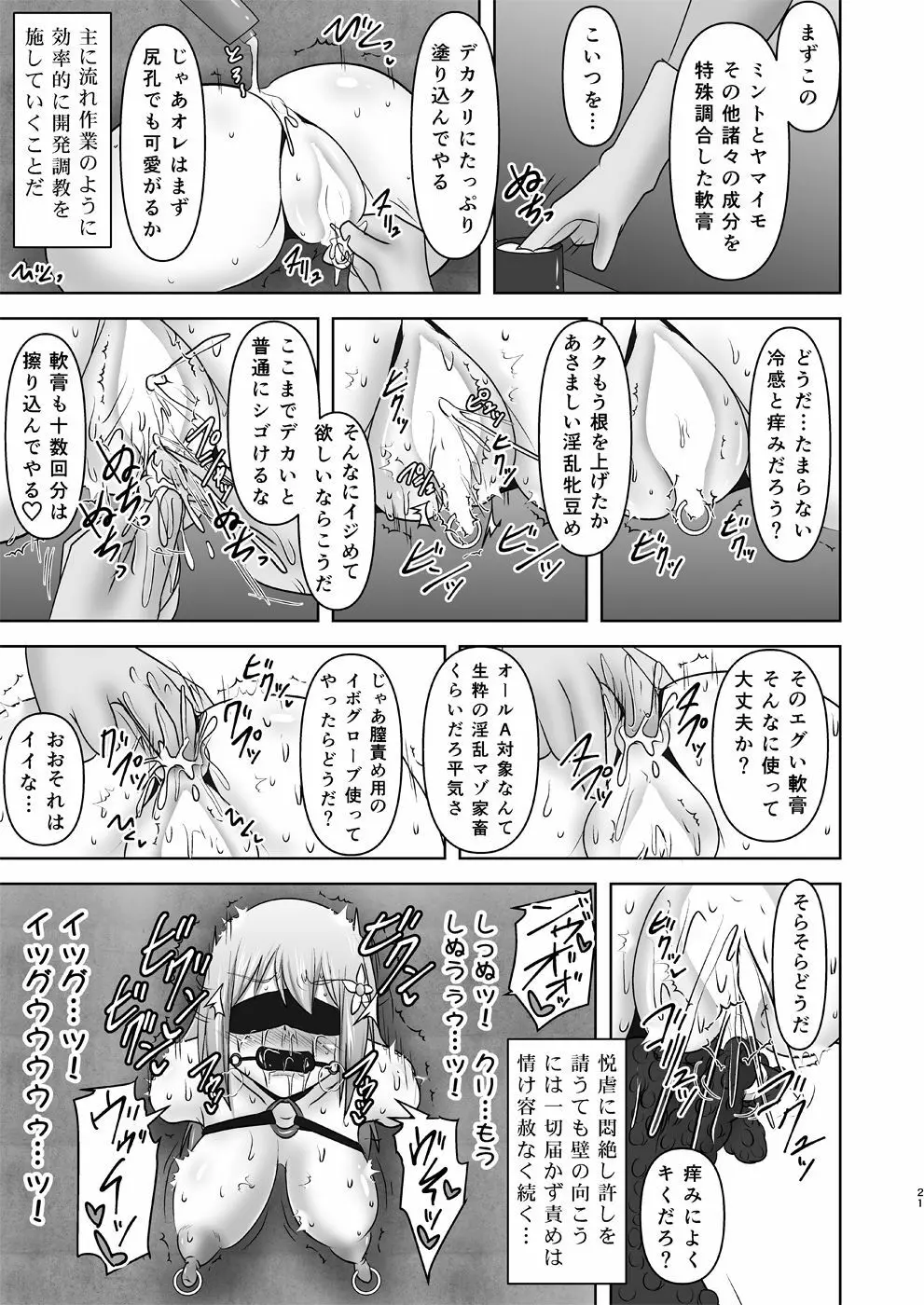 煌盾装騎エルセイン 『恥虐の隷獄島・後編』 Page.20