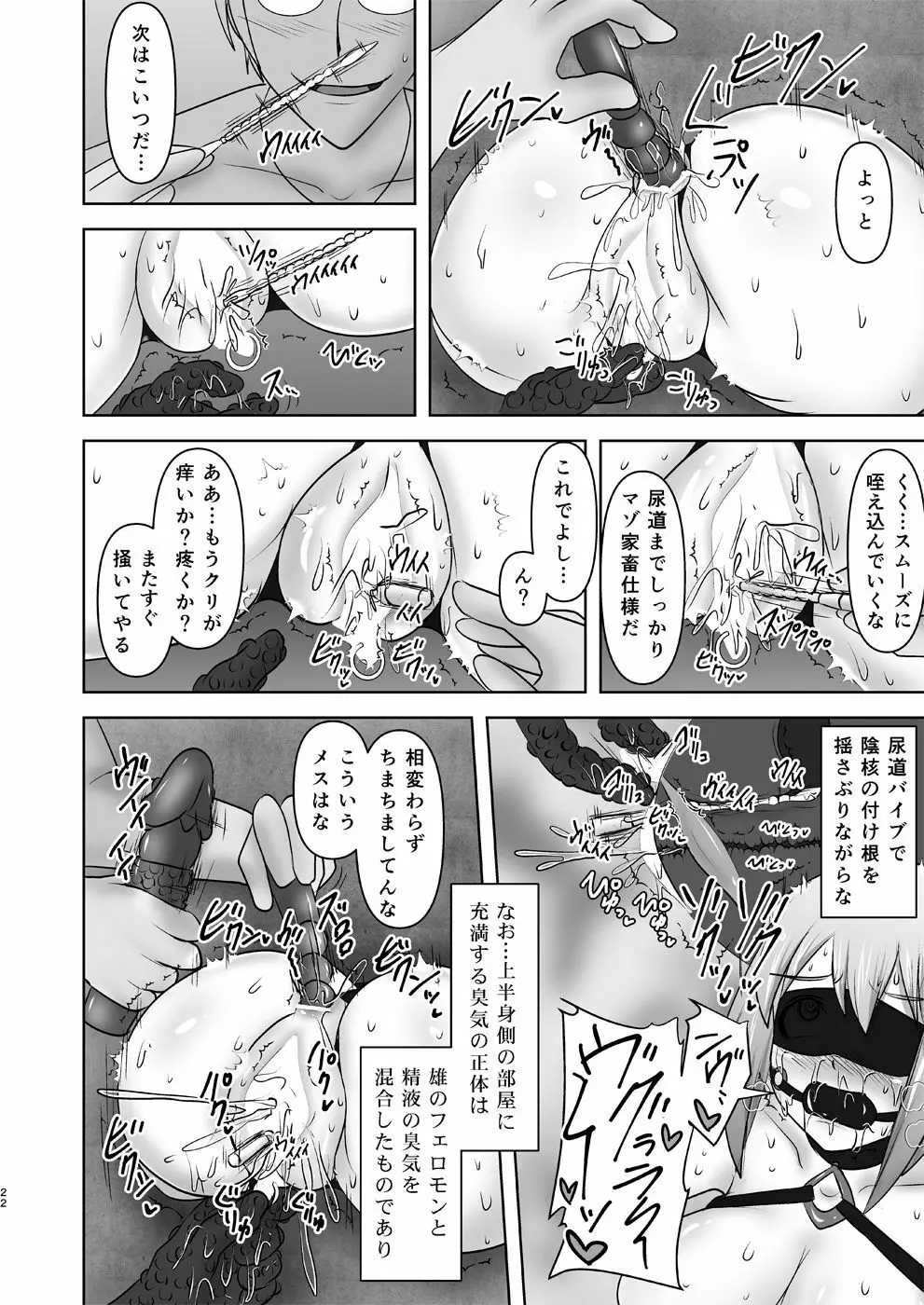 煌盾装騎エルセイン 『恥虐の隷獄島・後編』 Page.21