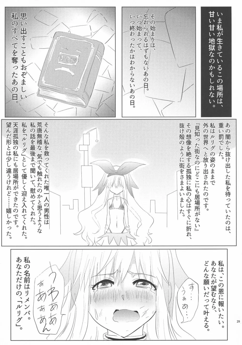 ルリグ研究日誌2016梅雨号 Page.29