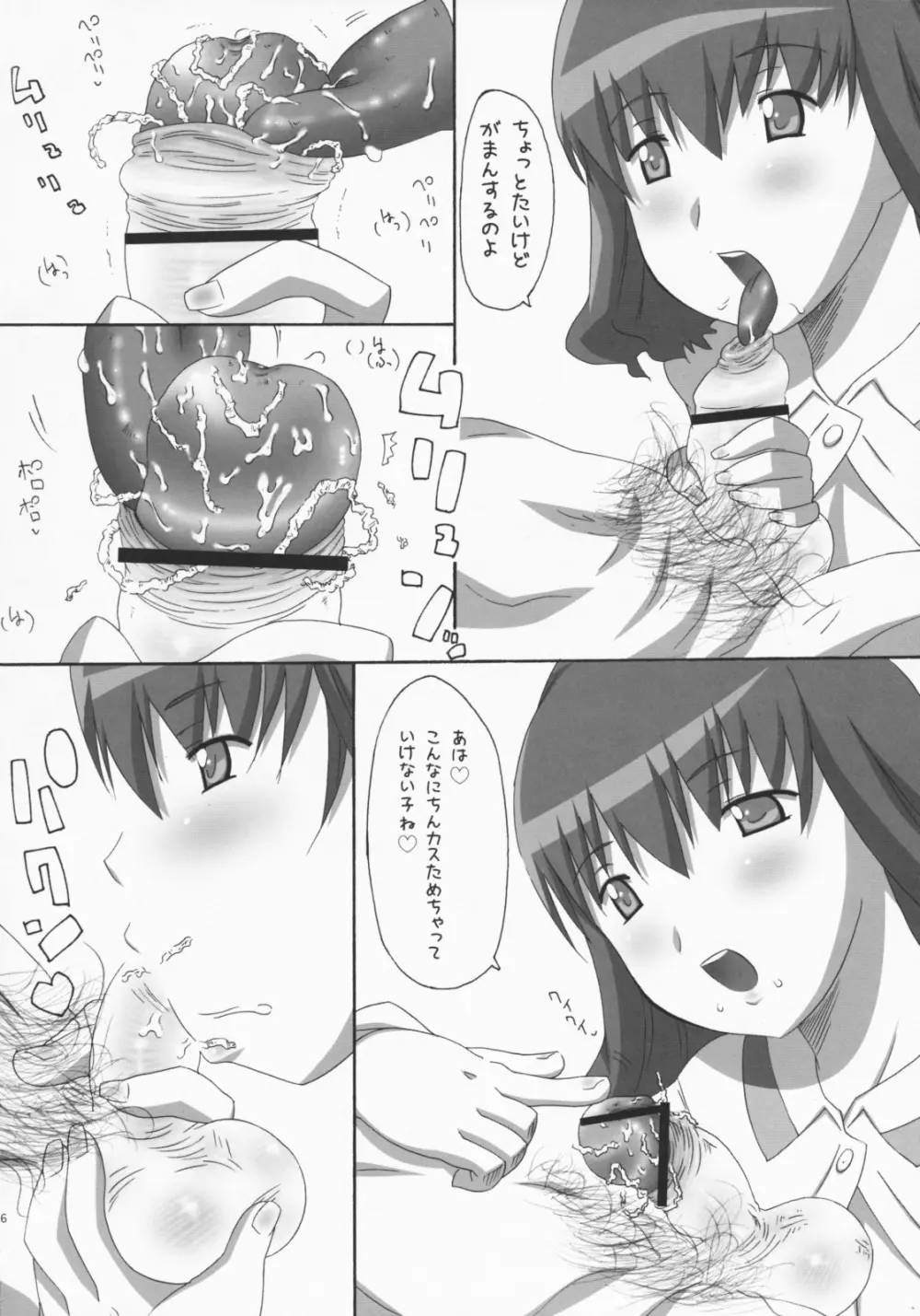 SiSTER Page.15