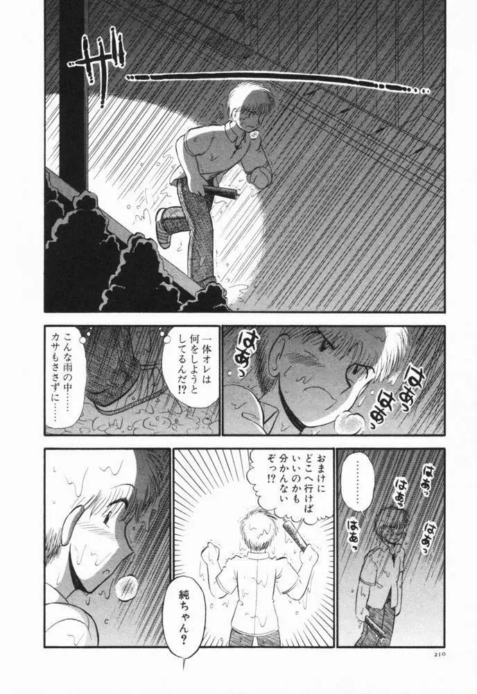 恋愛ぶきっちょ Page.213