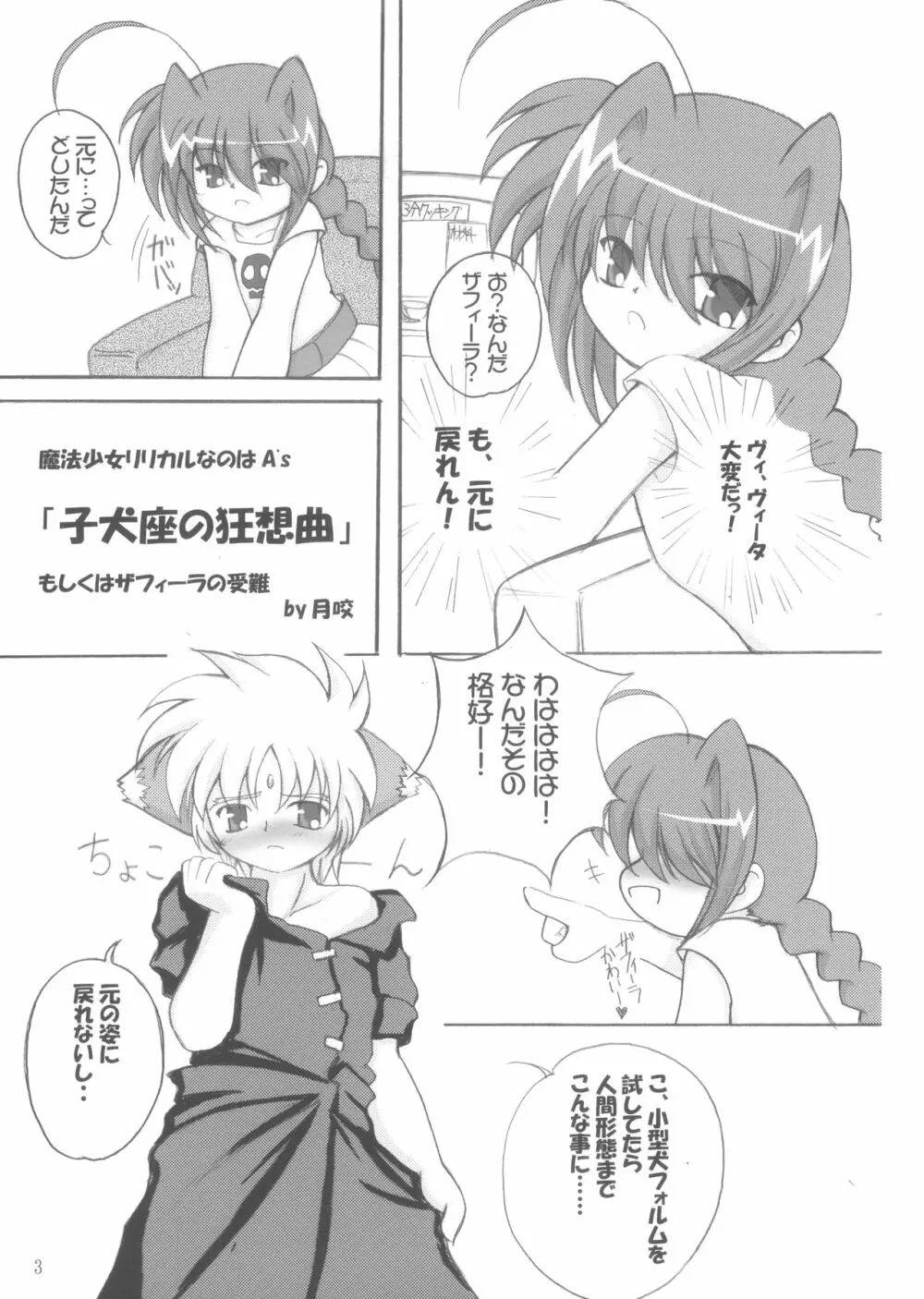 子犬座の協奏曲 Page.2