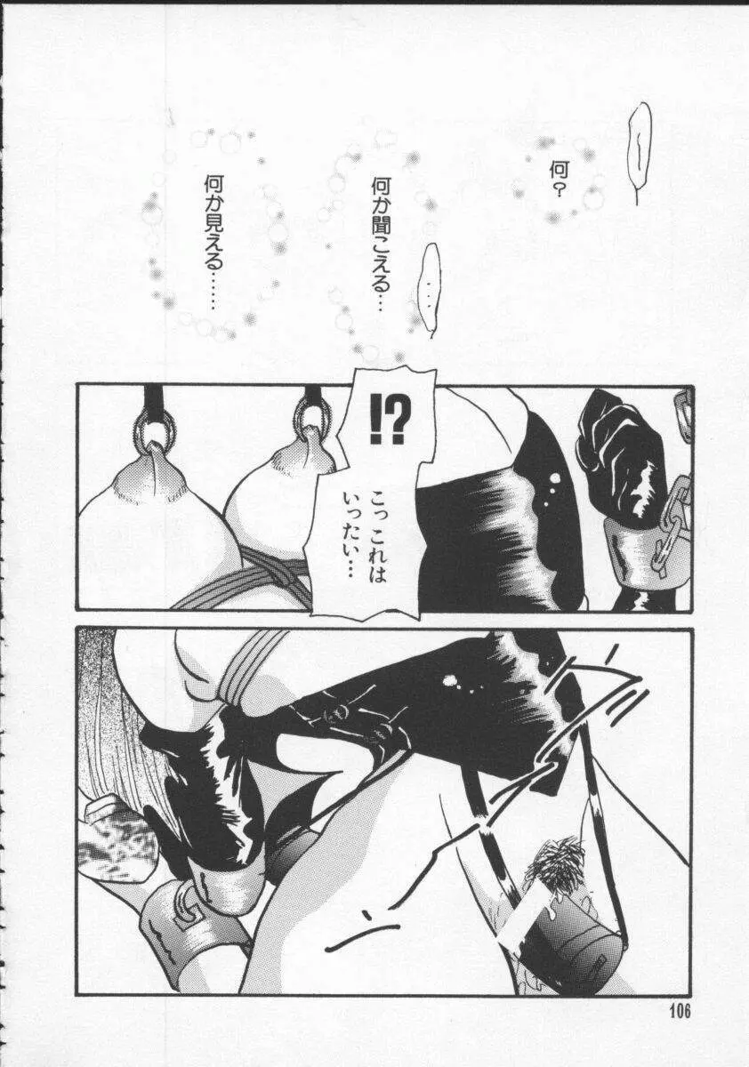電脳武闘娘5 Page.107