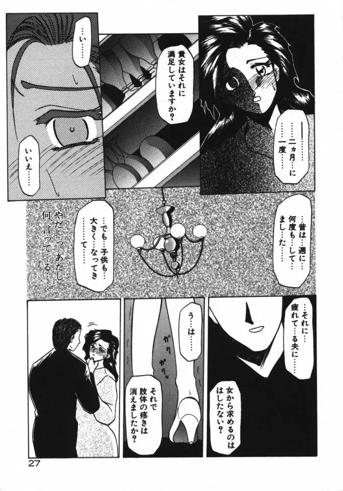 頃刻の迷夢 Page.29