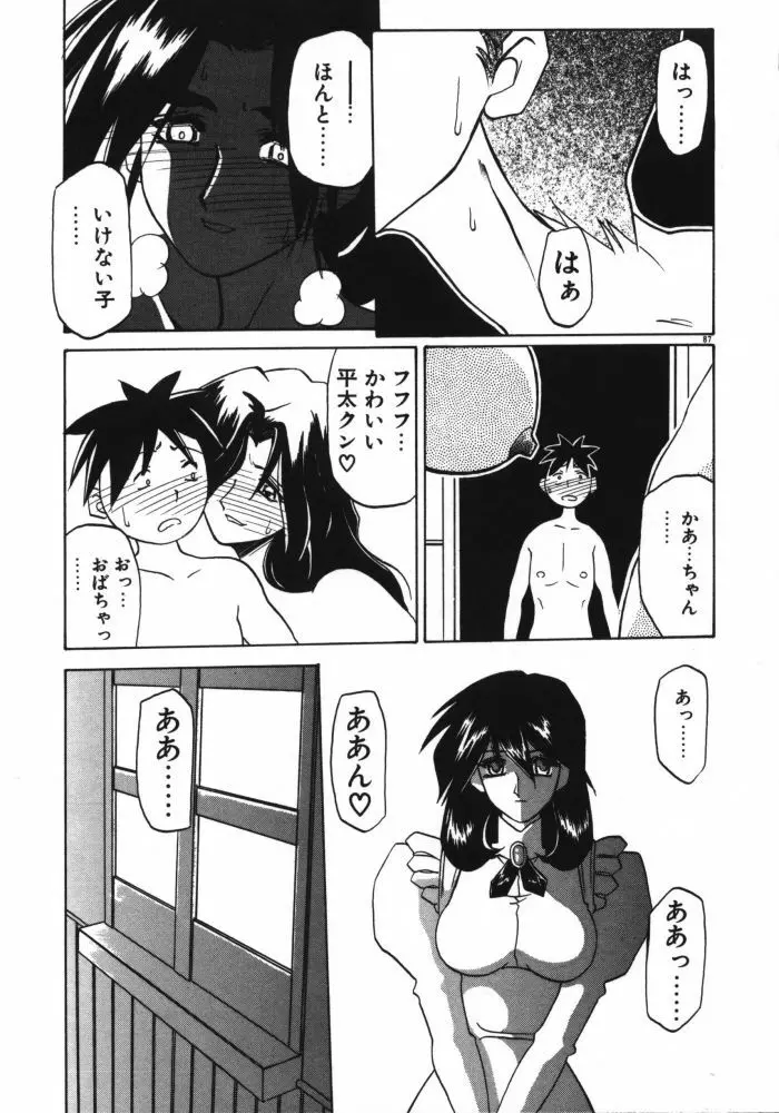 頃刻の迷夢 Page.89