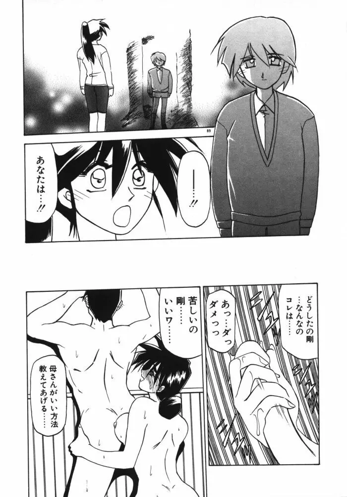 頃刻の迷夢 Page.91