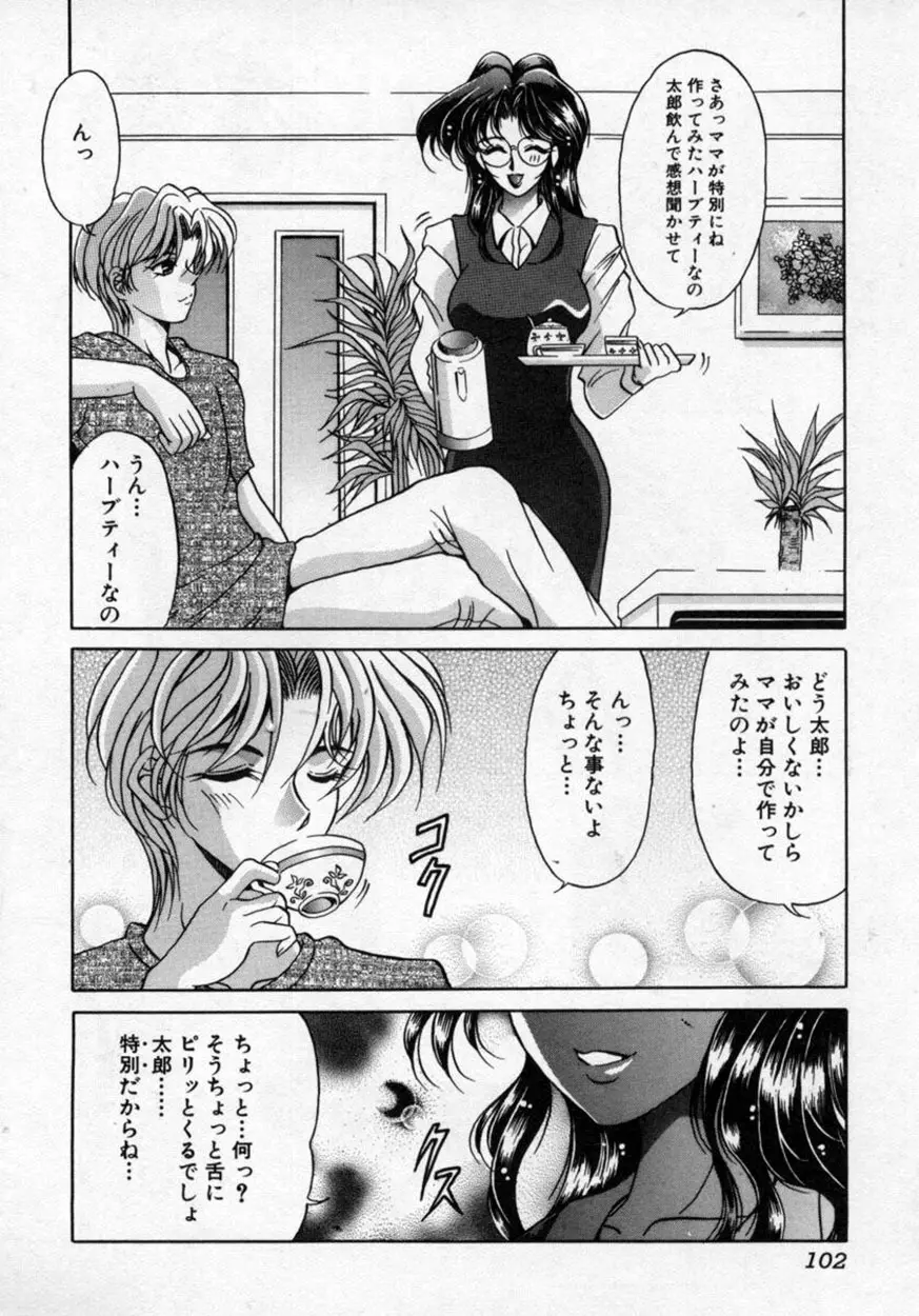 華の影 Page.103