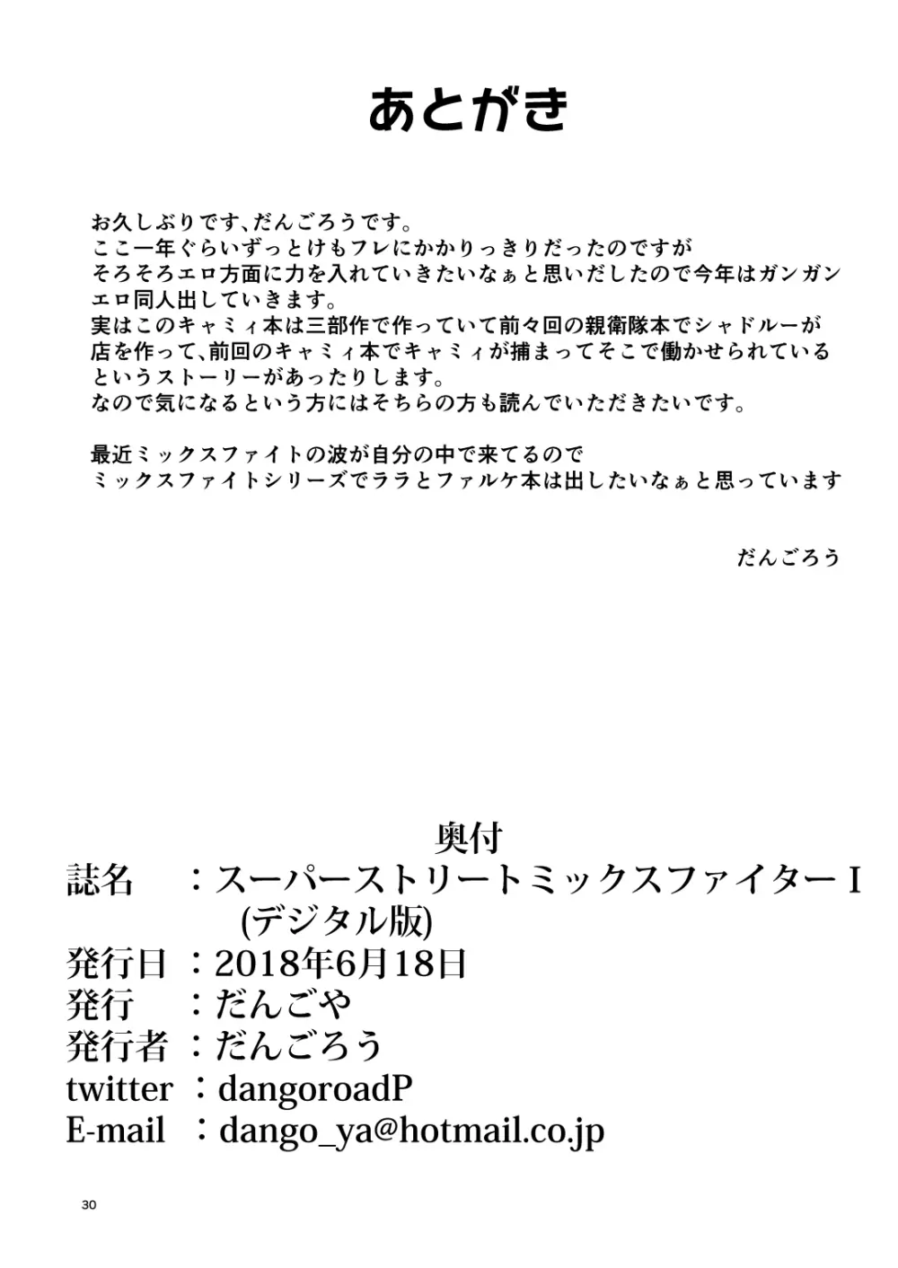 スーパーストリートミックスファイター I Page.29