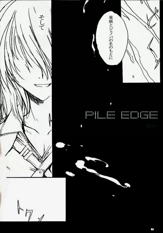 PILEEDGE HARD SHAFT Page.3