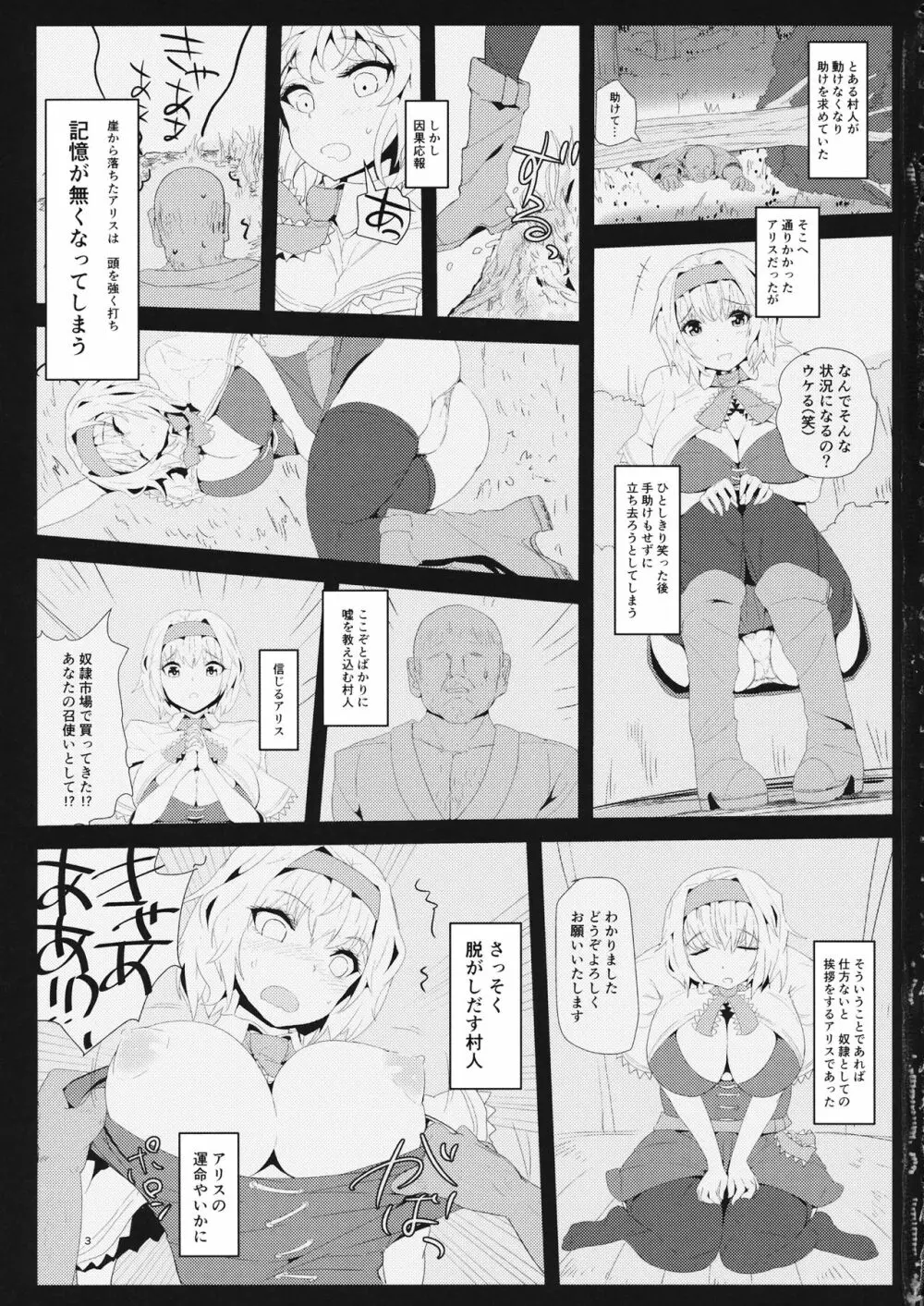 記憶喪失アリス 百姓奴隷性活 Page.2