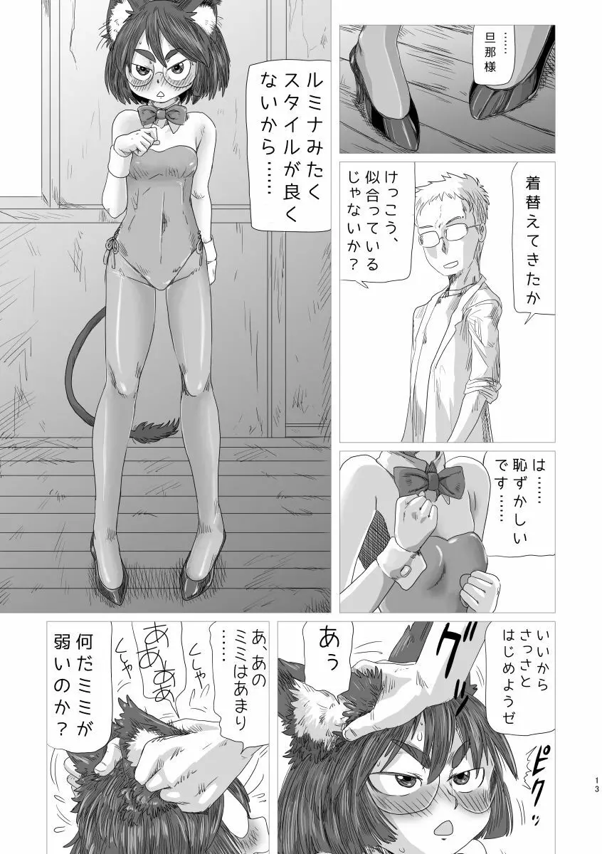 ルミクロ2 Page.12