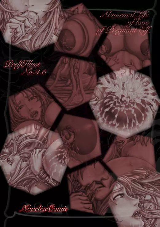 PrelfIllust No.4.5 NovelizeComic Page.7