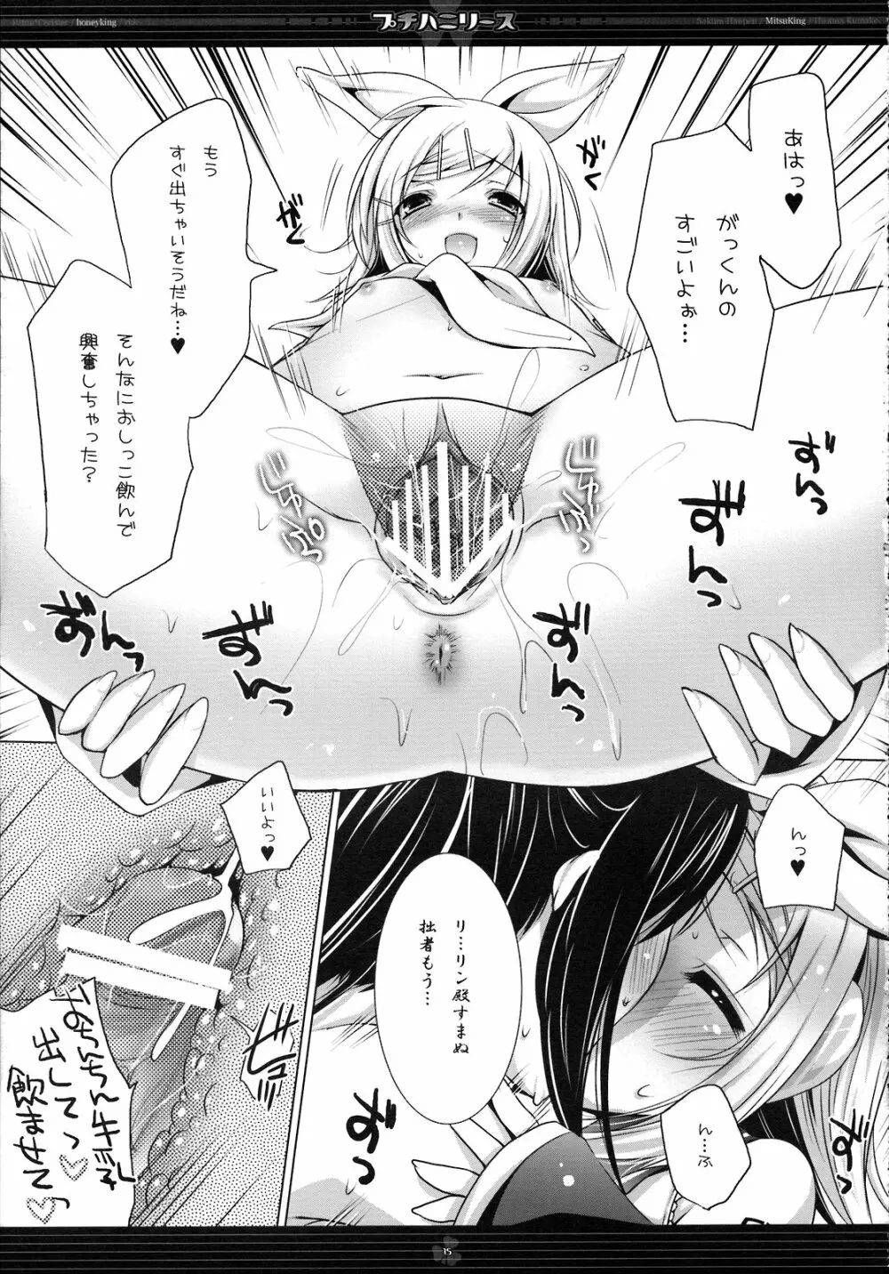 プチハニリース Page.15