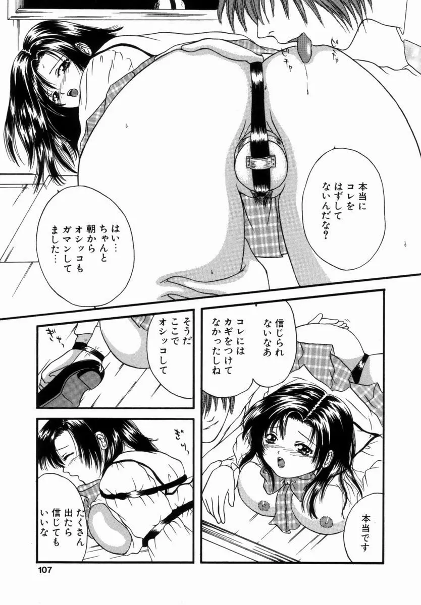 姦淫！美肉姉妹 Page.106