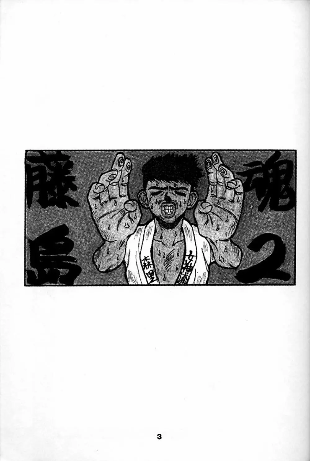 Fujishima Spirits 2 Page.2