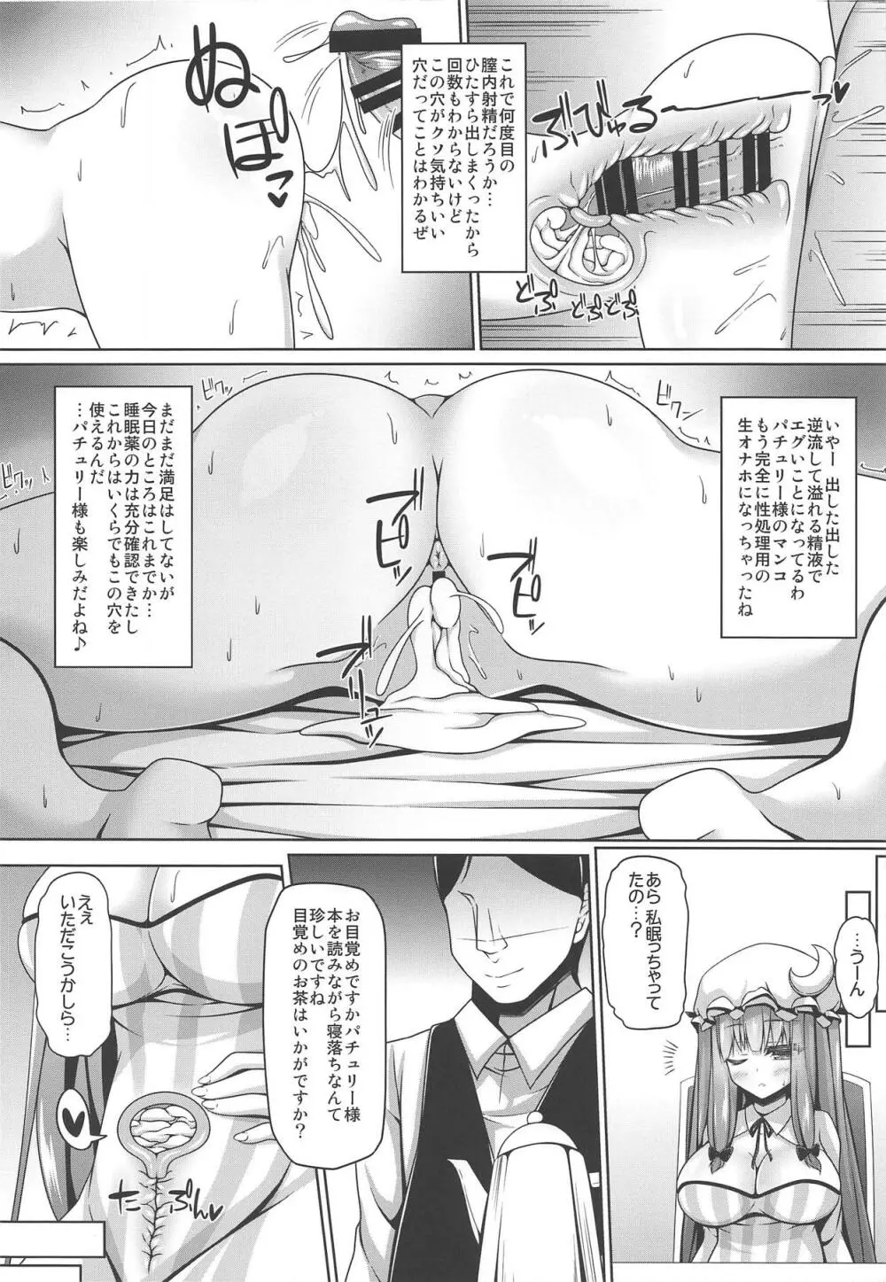 寝ているパチュリーには何をしてもよい Page.11
