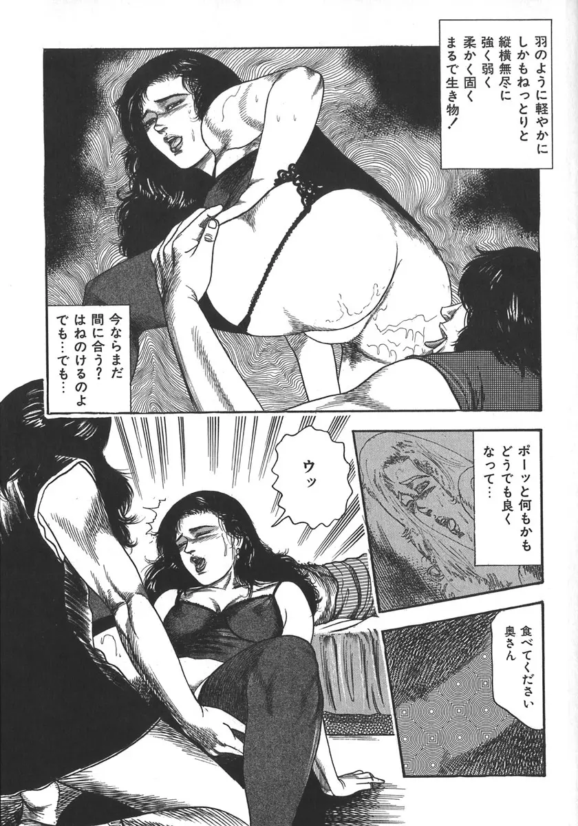 若妻陵辱奴隷 Page.194