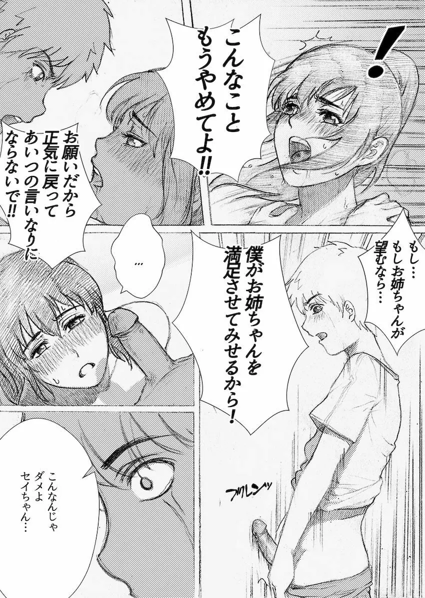 僕のお姉ちゃんがこんなにビッチなはずがない Page.24