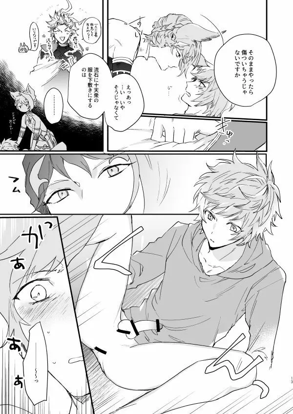 アドアステラ・インサニア Page.11