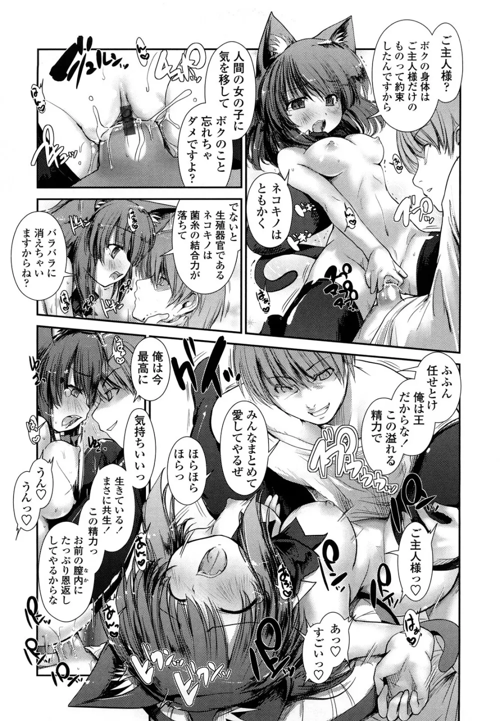 ネコキノと雨の町 Page.123