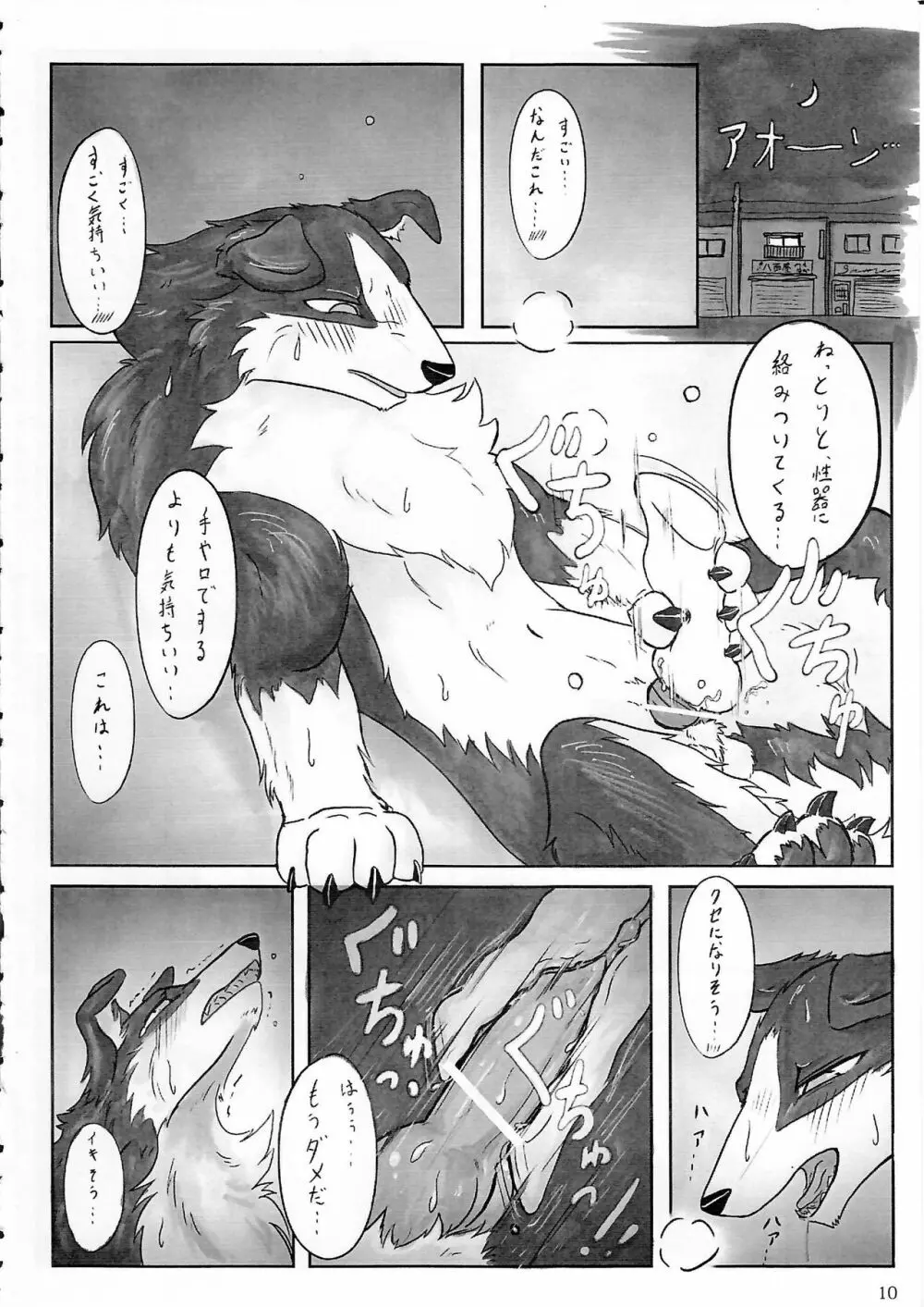 KTQ5 Page.11