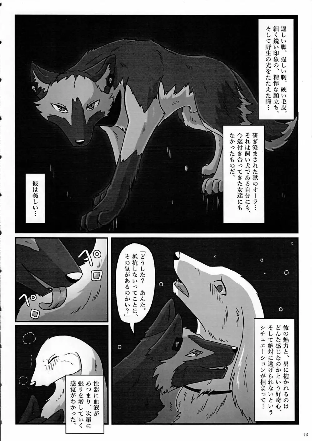 KTQ7 Page.10