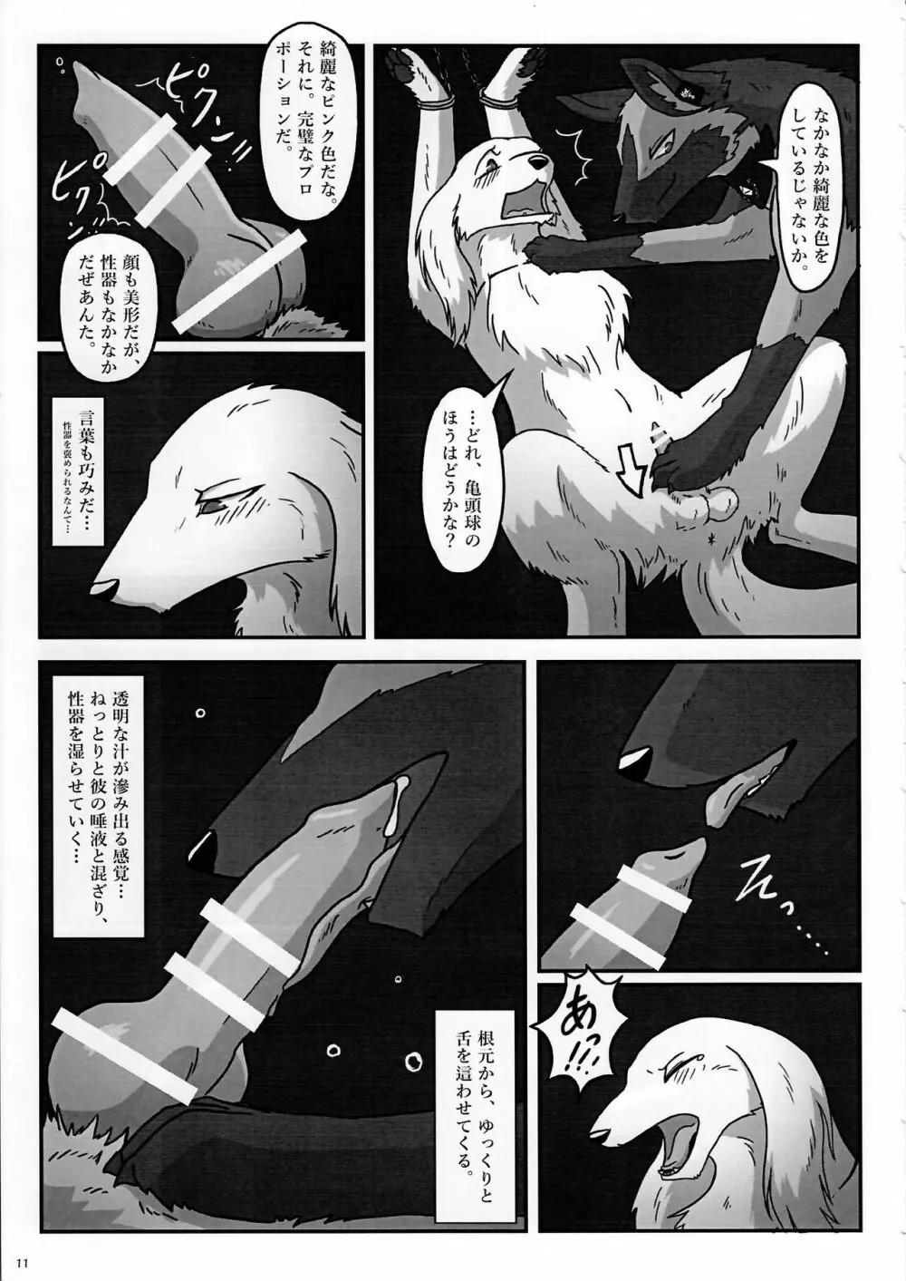 KTQ7 Page.11