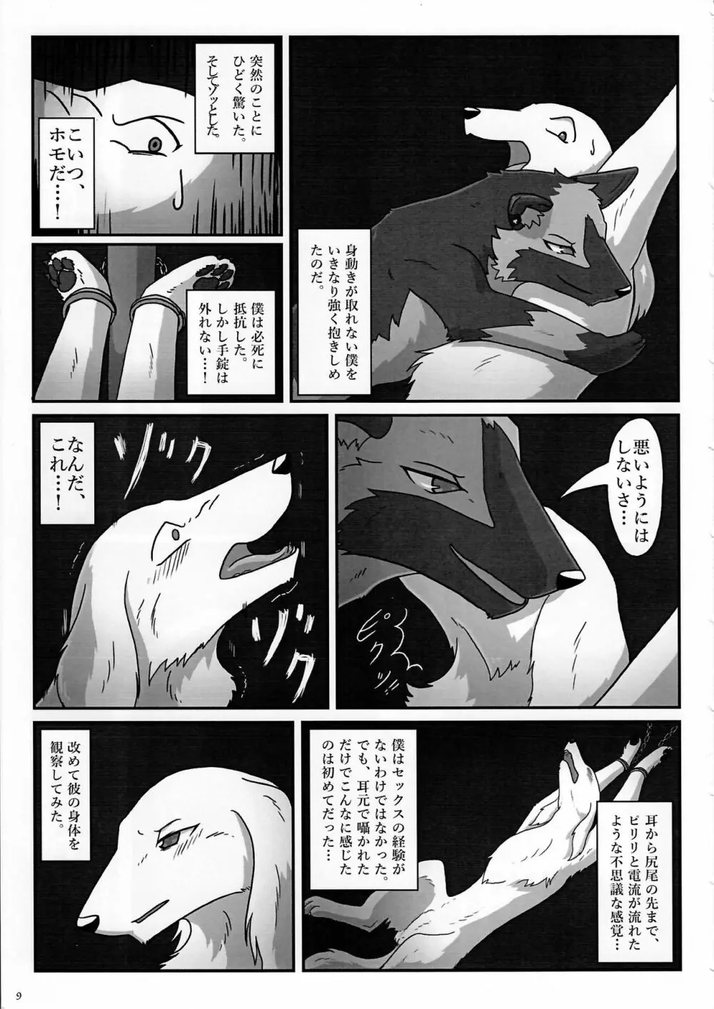 KTQ7 Page.9