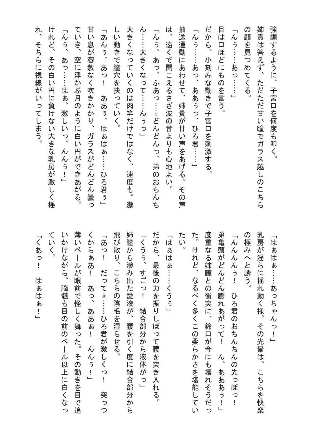 姉婚 -シスコン- メロンブックス限定小冊子 Page.27