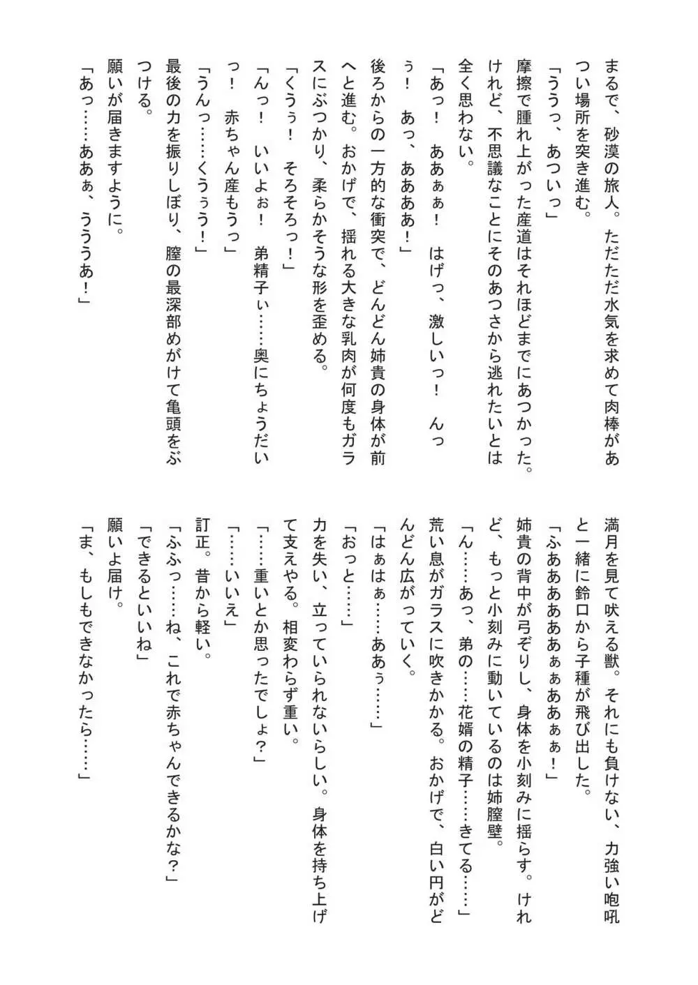 姉婚 -シスコン- メロンブックス限定小冊子 Page.28
