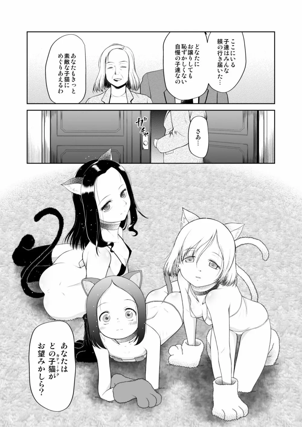 ペットショップの子猫 Page.6