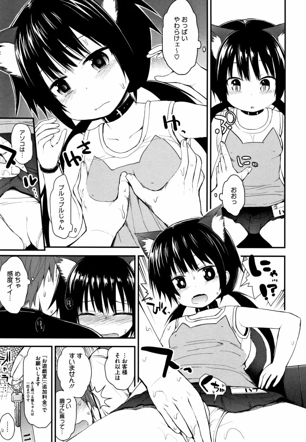 ちいさな好奇心 + 4Pリーフレット Page.182