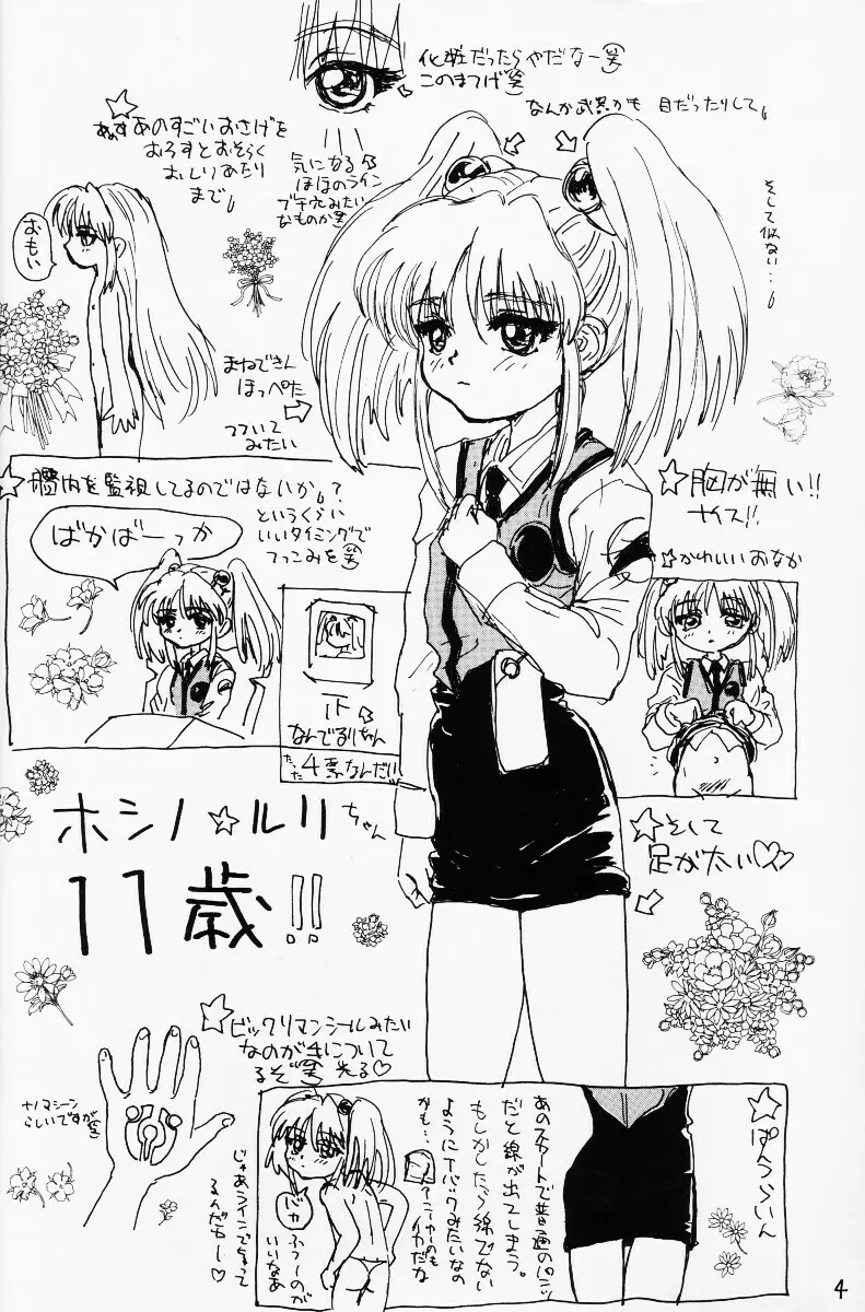 バカって言ってルリちゃん Page.3