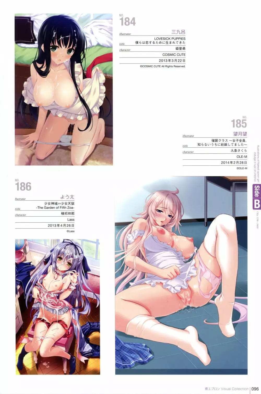 裸エプロンVisual Collection Final Page.86