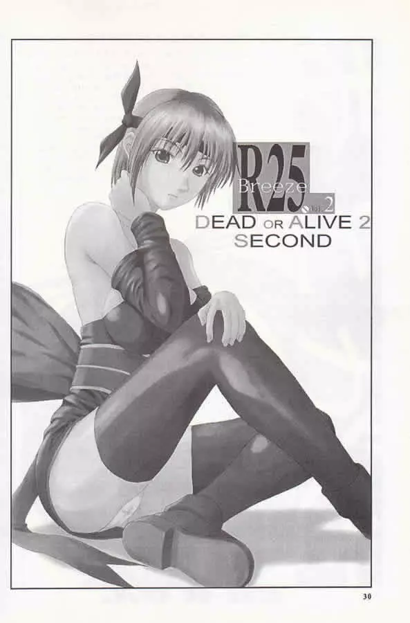 R25 Vol.2 DoA2 SECOND Page.29