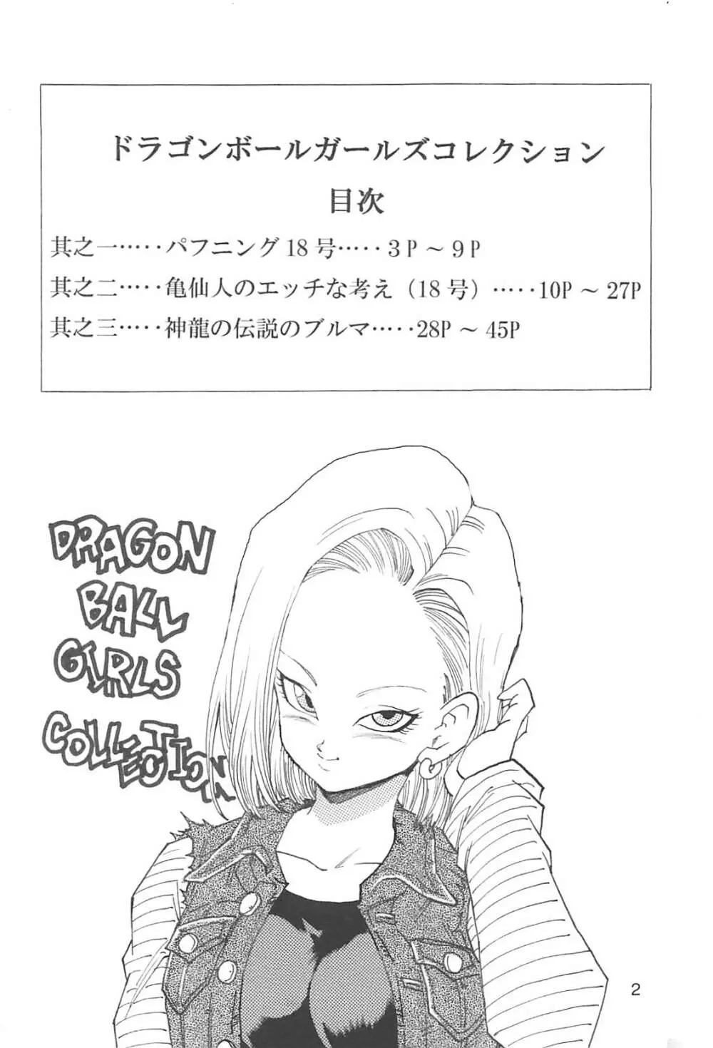 ドラゴンボールガールズコレクション1復刻版 - 同人誌 - エロ漫画 | inits-terapiya.ru