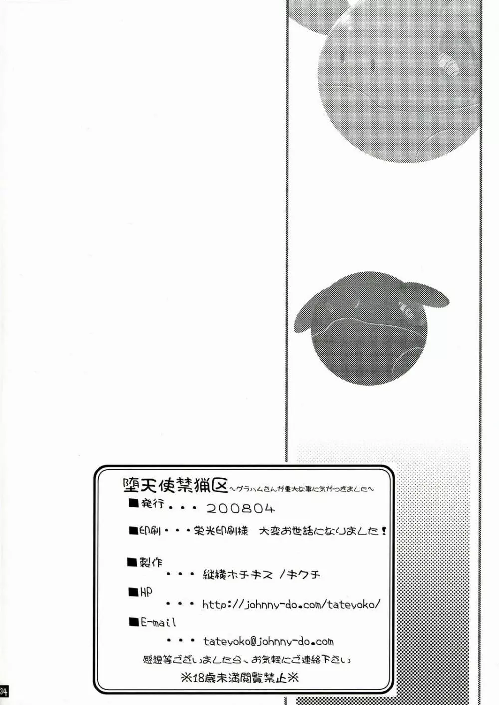 堕天使禁猟区～グラハムさんが重大な事に気がつきました～ Page.34