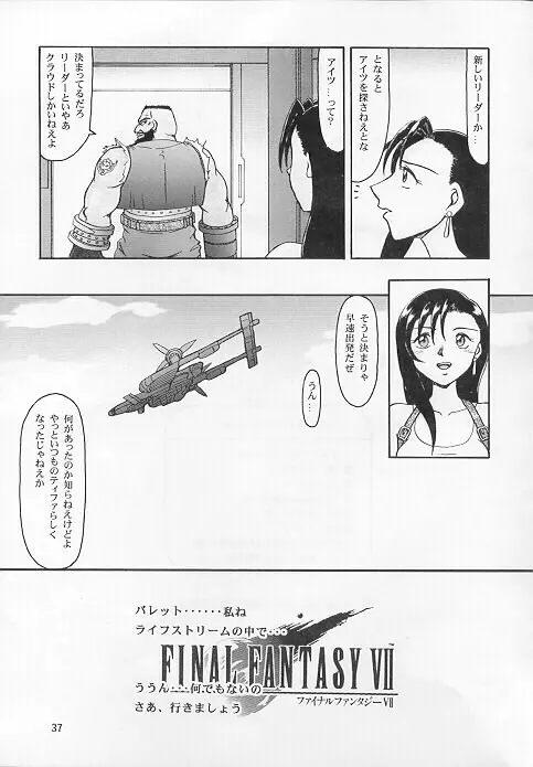 カメレオンテクノロジーIV Page.35