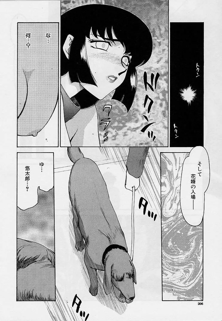 悠久の刻 Page.206