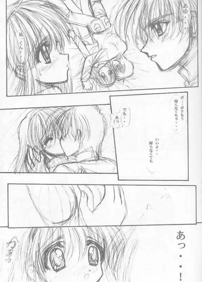 Precious Memory ~一片の奇跡のなかで…~ Page.10