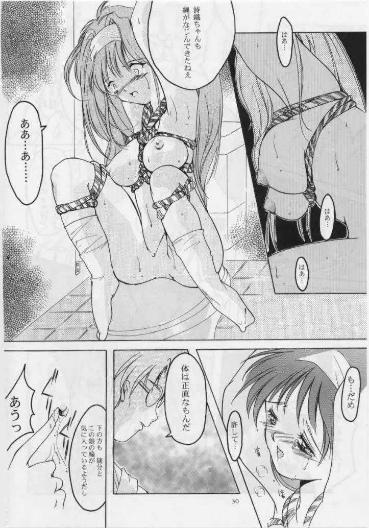 詩織 第四章 二人目の主人 Page.29