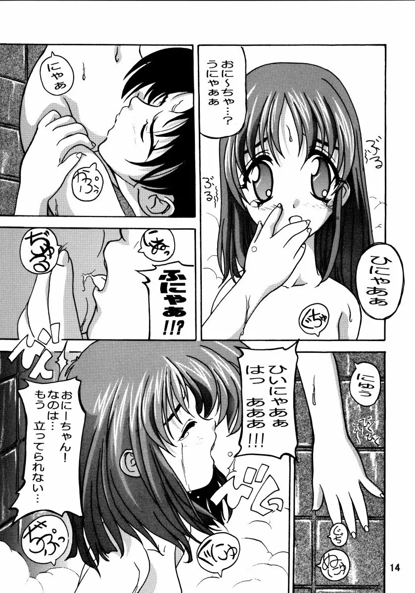 Nanohanatsumi Page.13