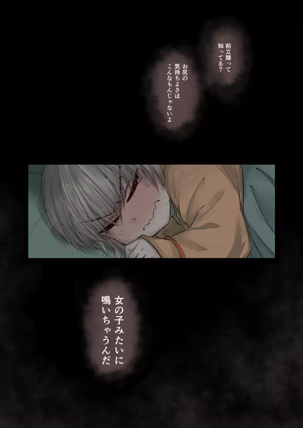 男の子は前立腺で花開く Page.13